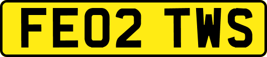 FE02TWS