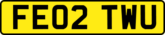 FE02TWU