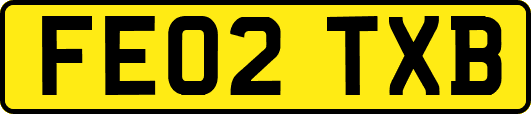 FE02TXB