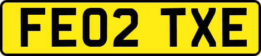 FE02TXE