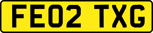 FE02TXG