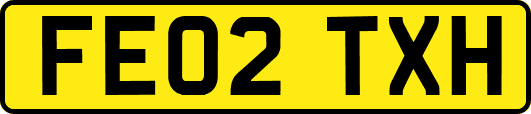 FE02TXH