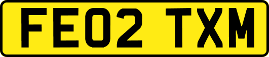 FE02TXM
