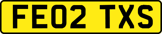 FE02TXS