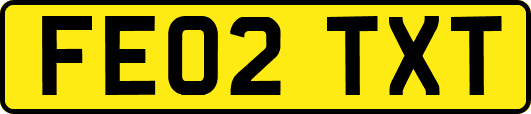 FE02TXT