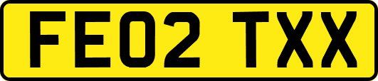 FE02TXX