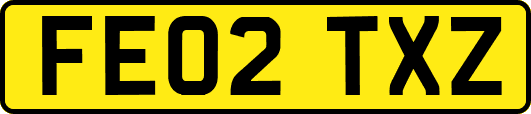 FE02TXZ