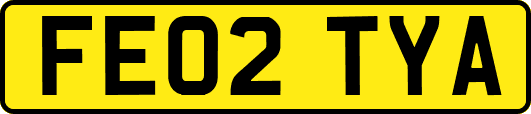 FE02TYA