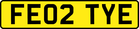 FE02TYE
