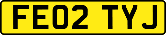 FE02TYJ