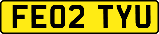 FE02TYU