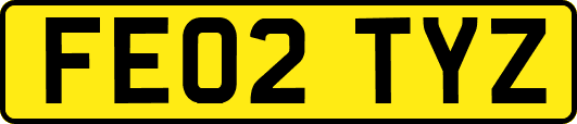 FE02TYZ