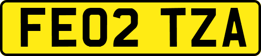 FE02TZA