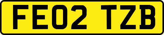 FE02TZB