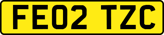 FE02TZC