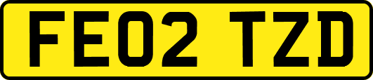 FE02TZD