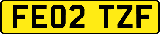 FE02TZF