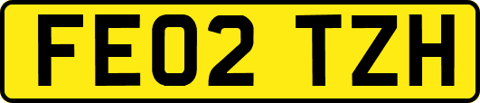 FE02TZH