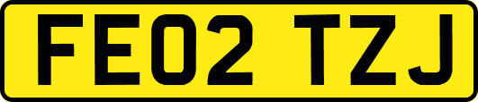 FE02TZJ