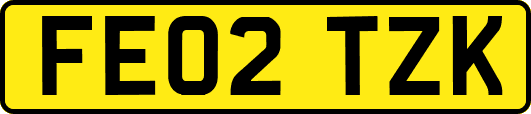FE02TZK
