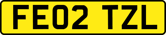 FE02TZL