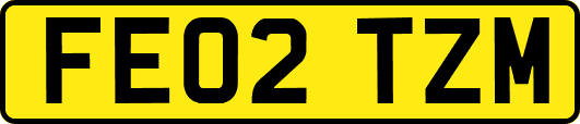 FE02TZM