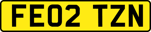 FE02TZN