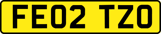 FE02TZO