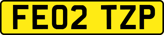 FE02TZP