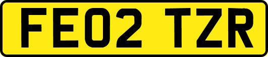 FE02TZR