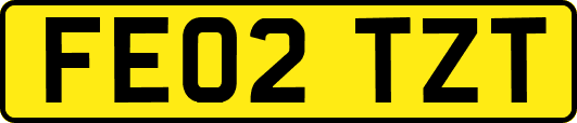 FE02TZT