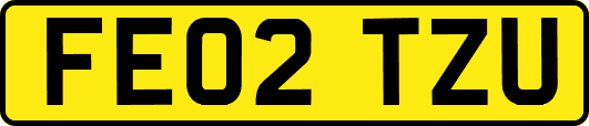 FE02TZU