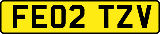FE02TZV
