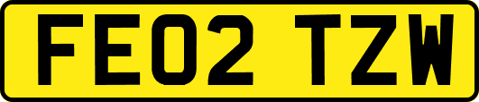 FE02TZW