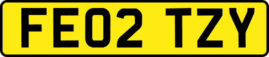 FE02TZY