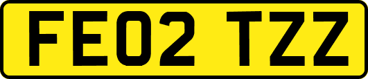 FE02TZZ