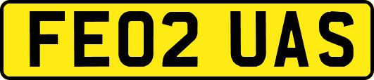 FE02UAS
