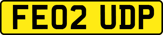FE02UDP