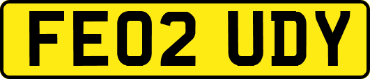 FE02UDY