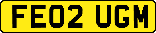FE02UGM