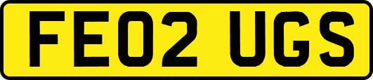 FE02UGS