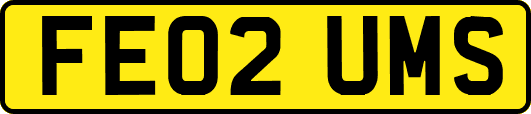 FE02UMS