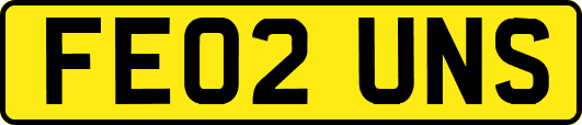 FE02UNS