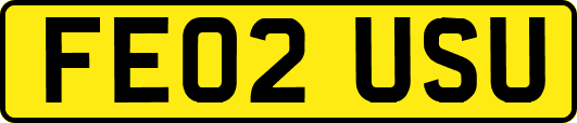 FE02USU