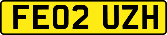 FE02UZH