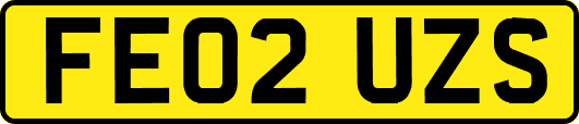 FE02UZS