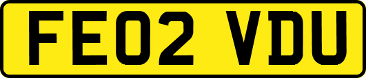 FE02VDU