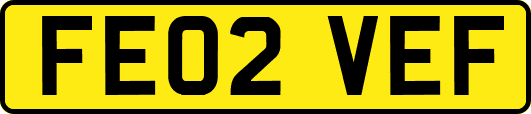 FE02VEF