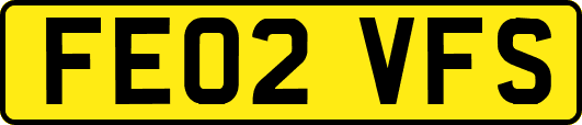 FE02VFS