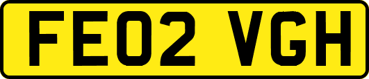 FE02VGH